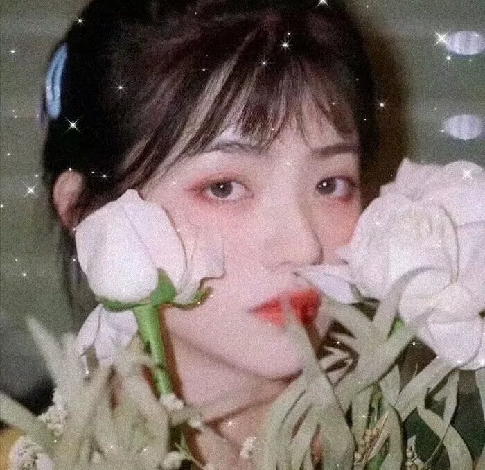 苏梅之歌