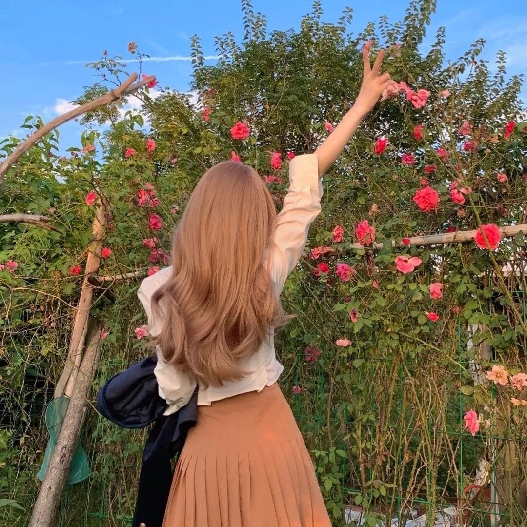 镇北龙皇$镇北龙帅